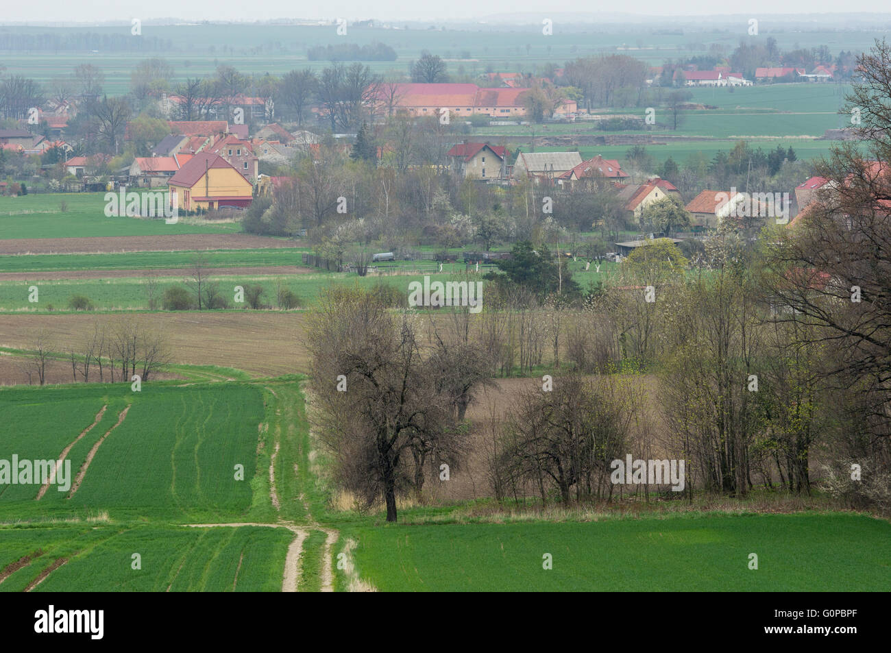 Entre Village vallonné en germination printemps vert ondulé Szymanow champs Basse Silésie Pologne Banque D'Images