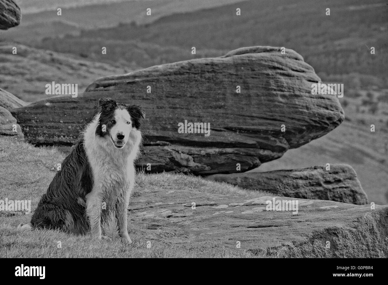 Stanage edge, stanage, Peak District, pierre meulière, escalade, bouldering, high peak, South Yorkshire, meules, route à cheval, Banque D'Images