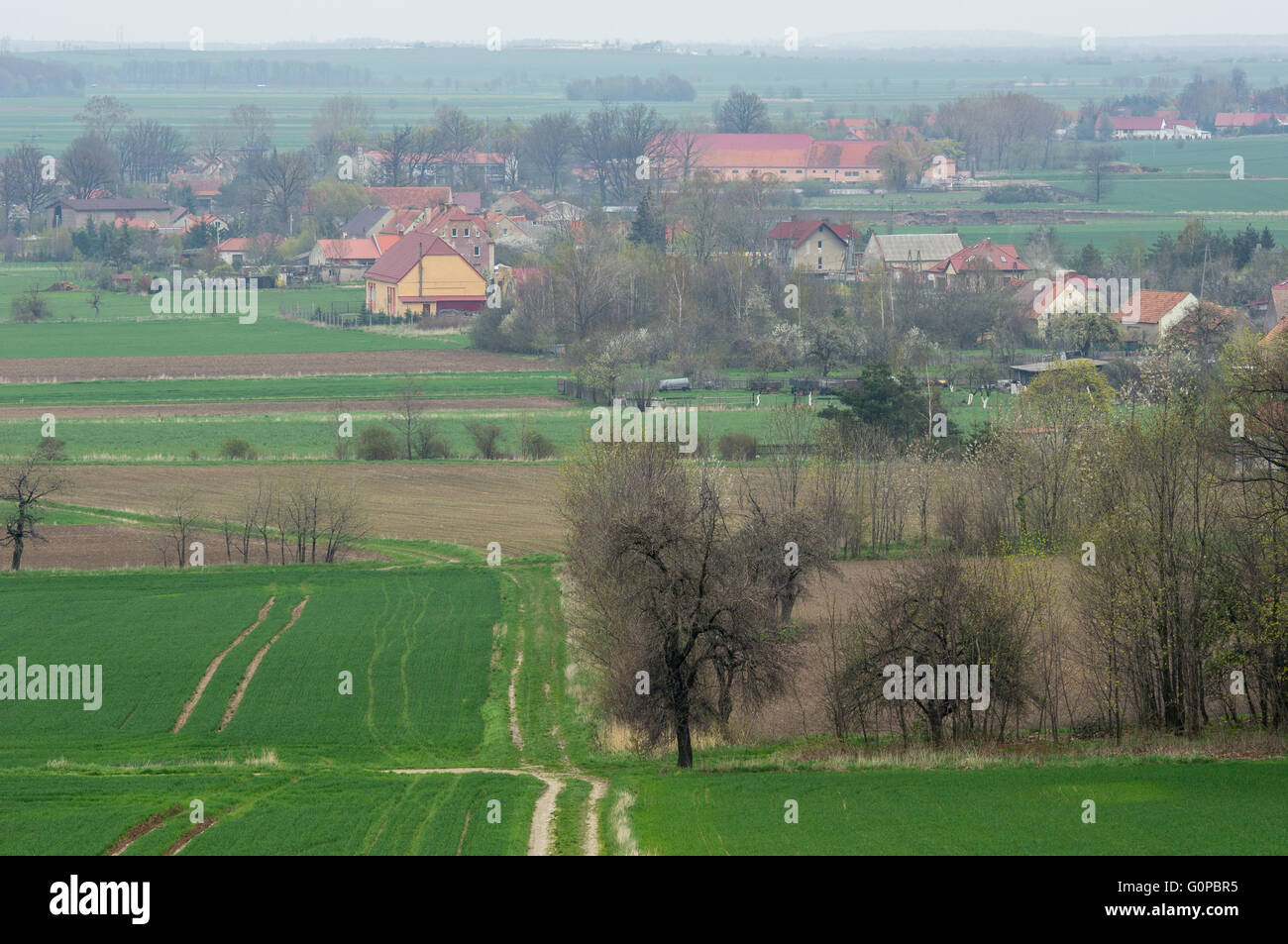 Entre Village vallonné en germination printemps vert ondulé Szymanow champs Basse Silésie Pologne Banque D'Images