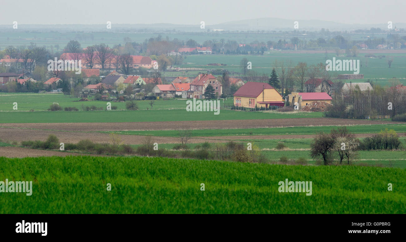 Entre Village vallonné en germination printemps vert ondulé Szymanow champs Basse Silésie Pologne Banque D'Images