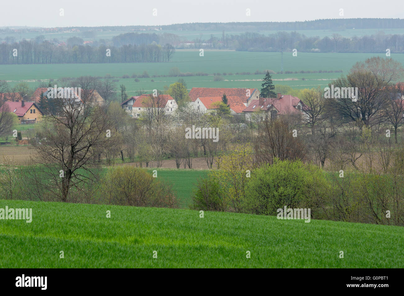 Entre Village vallonné en germination printemps vert ondulé Szymanow champs Basse Silésie Pologne Banque D'Images