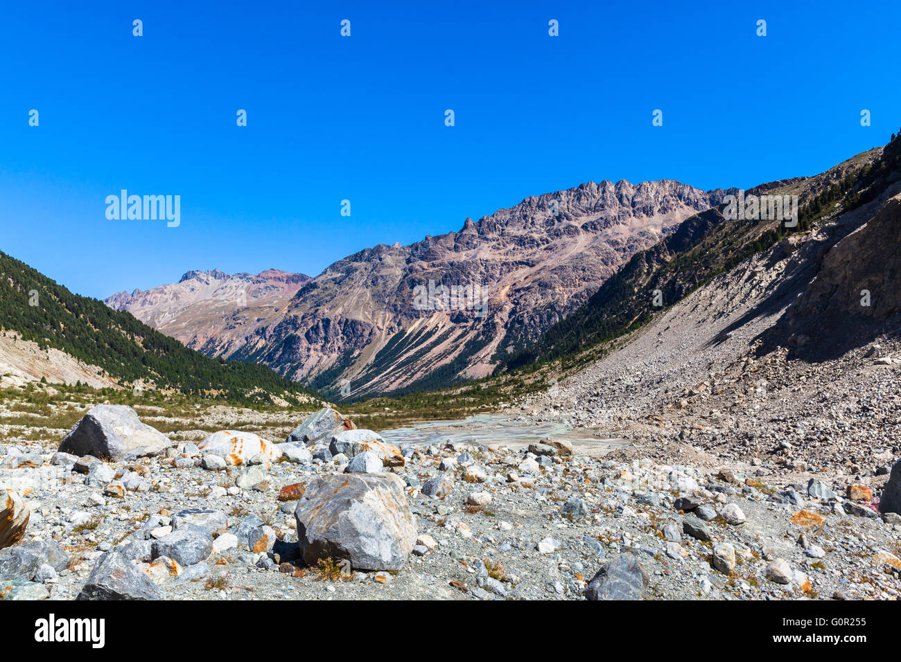 Belle vue sur Alpes Livigno il des Alpes suisses y compris Piz Albris dans la vallée à la fin du glacier Morteratsch, Canton Banque D'Images