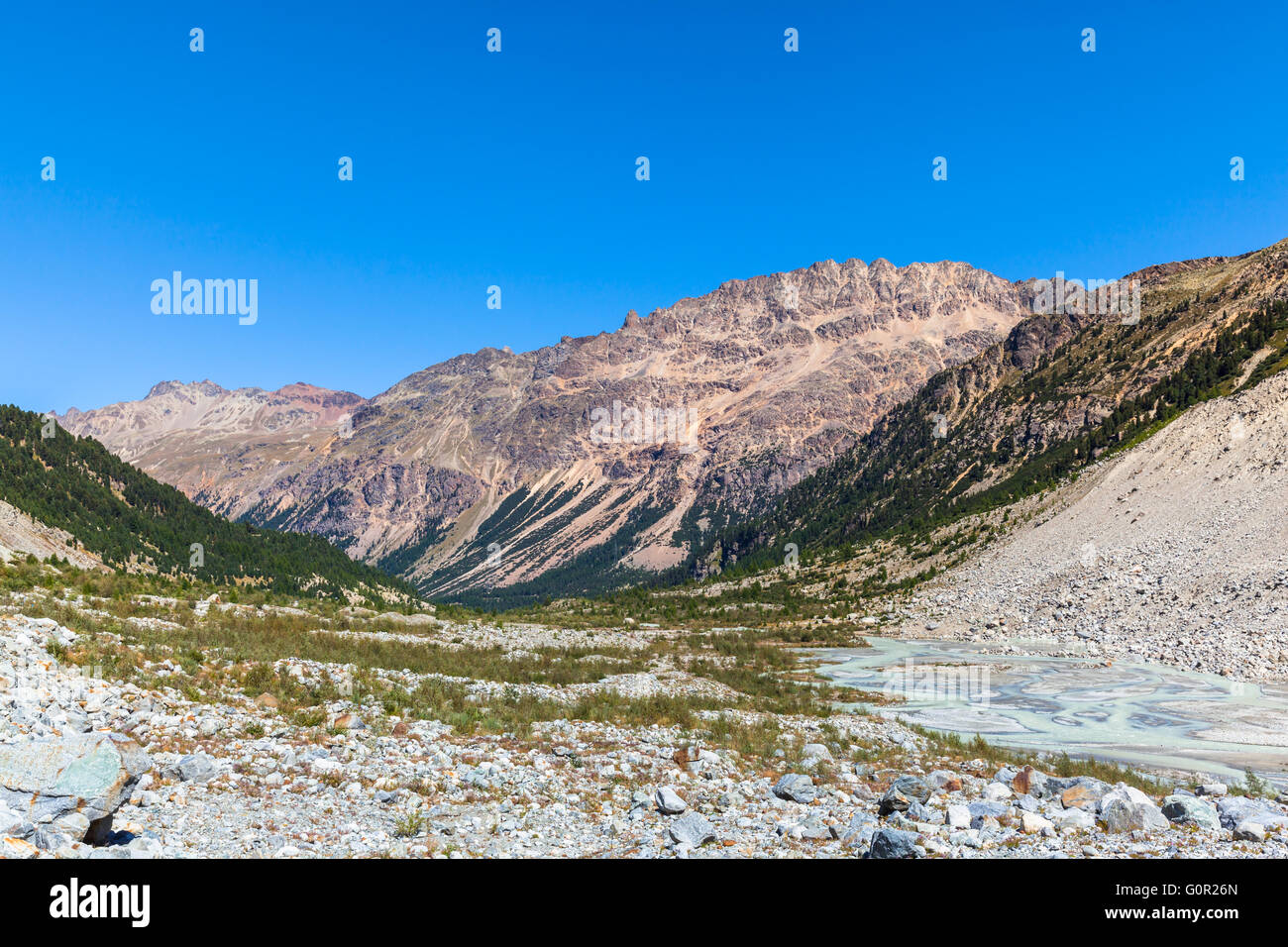 Belle vue sur Alpes Livigno il des Alpes suisses y compris Piz Albris dans la vallée à la fin du glacier Morteratsch, Canton Banque D'Images