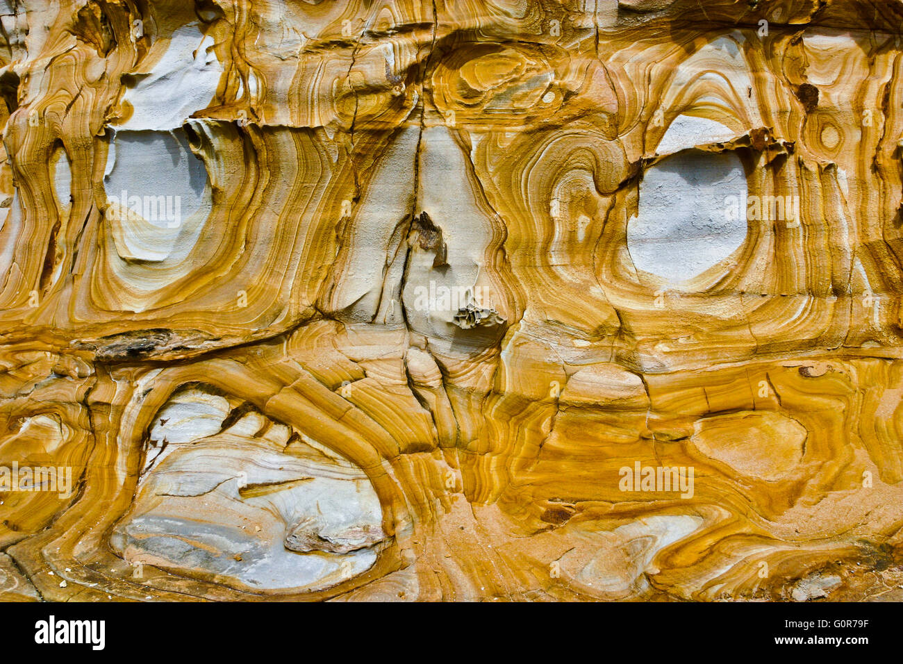 L'Australie, Nouvelle Galles du Sud, Côte Centrale, Bouddi National Park, merveilleusement paterned Hawksbury au grès Maitland Bay Banque D'Images