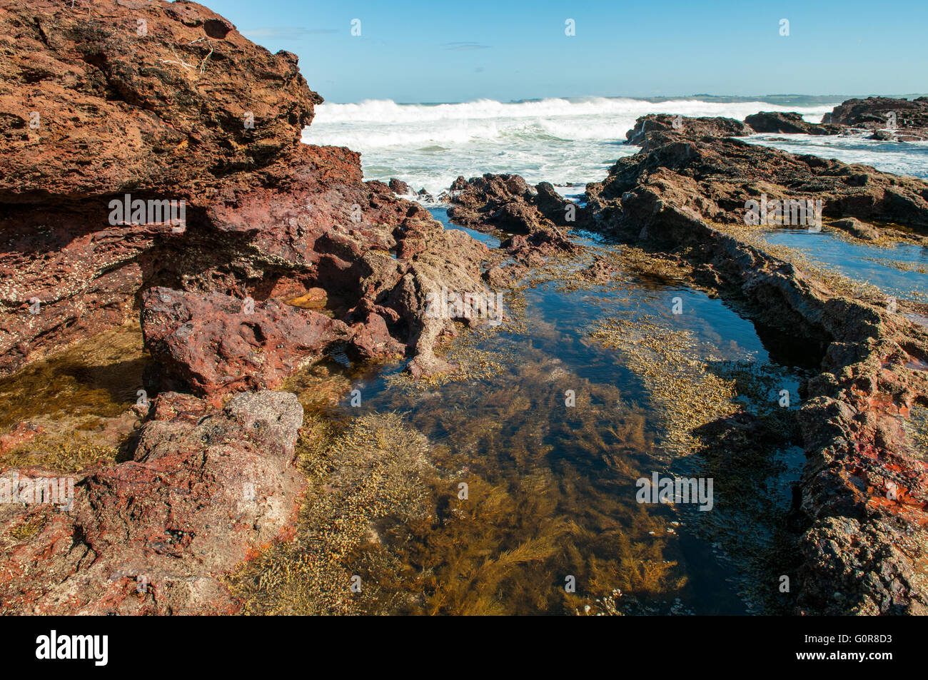 Forrest Grottes, Phillip Island, Victoria, Australie Banque D'Images