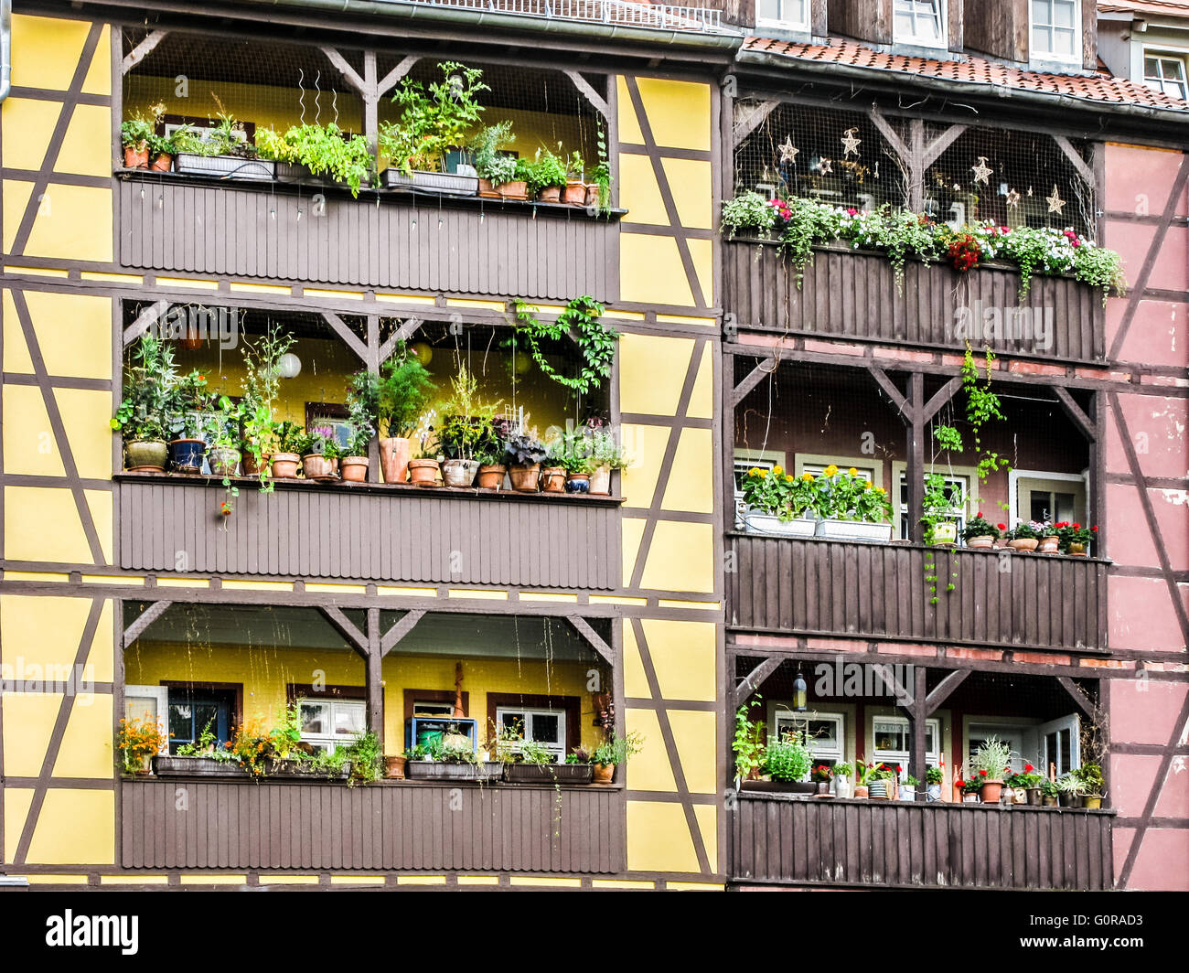 D'un balcon avec des plantes, détail de vieilles maisons du pont des marchands à Erfurt, Thuringe, Allemagne Banque D'Images