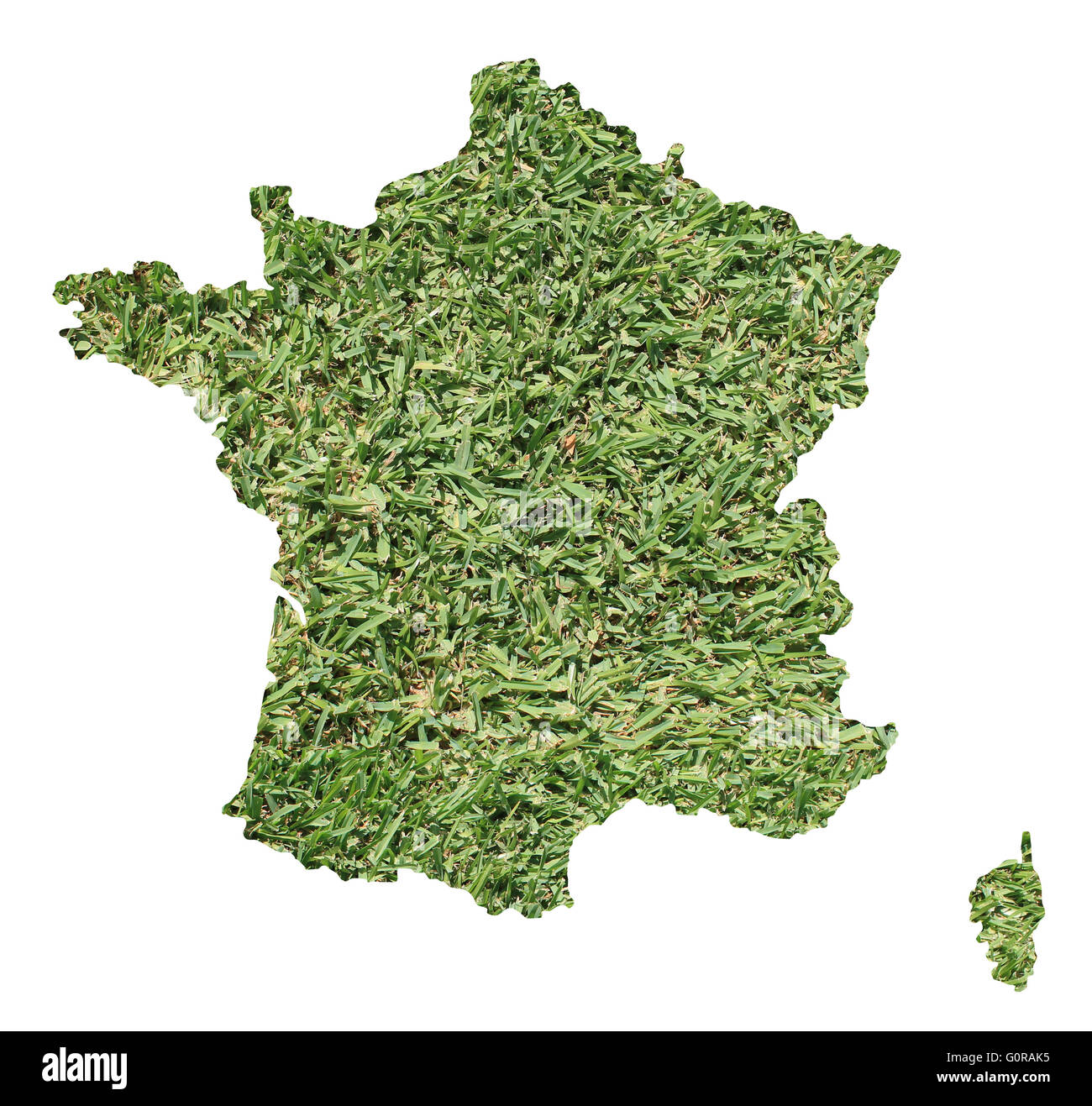 Carte de France remplie d'herbe verte, environnementale et écologique. Banque D'Images