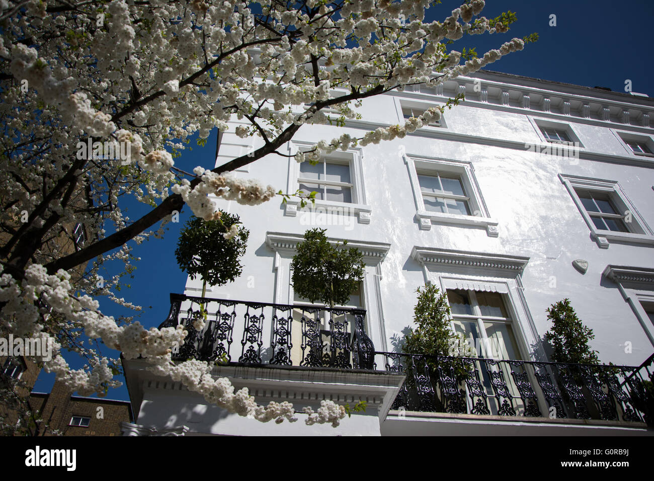 Splendeur architecturale blanc de printemps, Ouest de Londres, South Kensington Banque D'Images