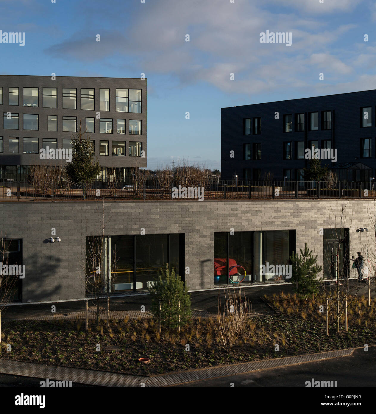 Hôtel de ville et centre de santé, Egedal, Danemark. Vue sur le jardin sur le toit et des bureaux de niveau inférieur. Banque D'Images