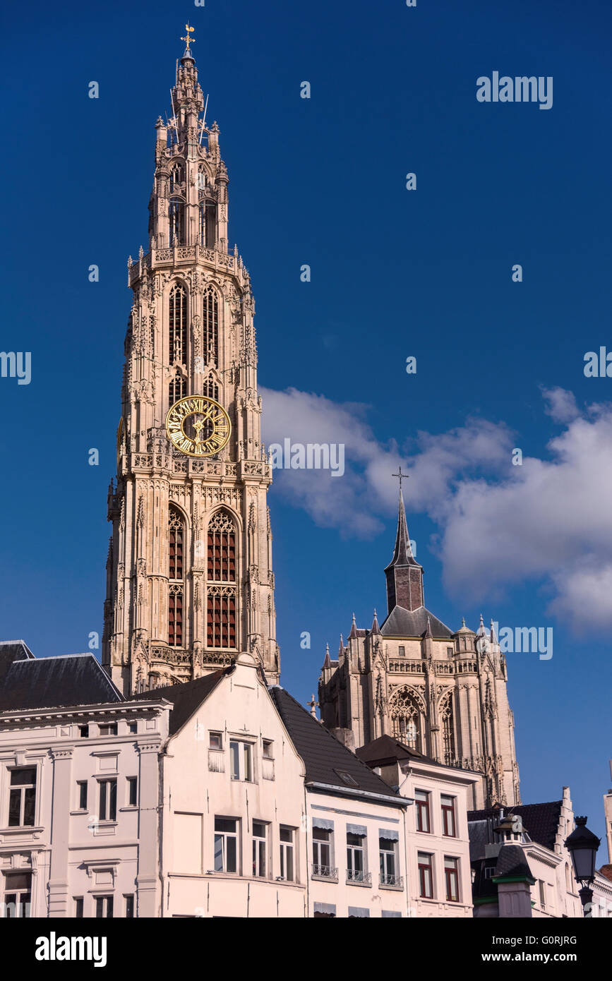 Spire cathédrale Anvers Belgique Banque D'Images