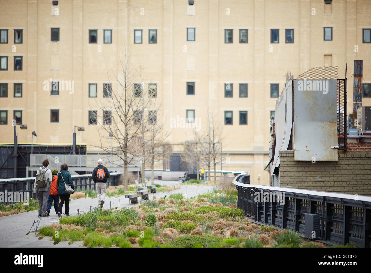 Fleurs sauvages de New York La ligne haute (aussi connu comme le parc High Line) est un parc linéaire construit dans Manhattan sur un sect Banque D'Images