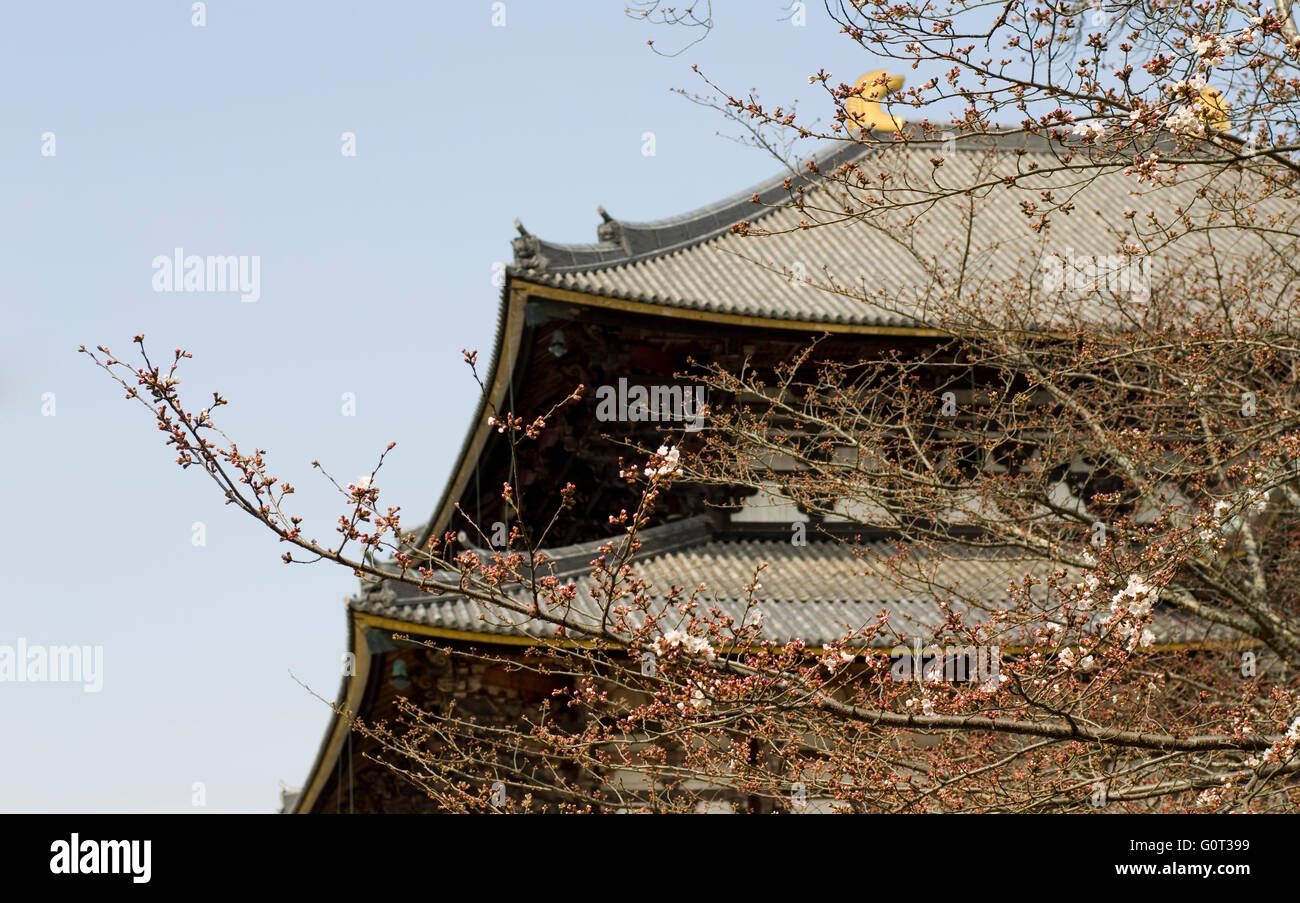 Temple Todaiji détail du toit. Est Todaiji à Nara, Japon, et abrite une grande statue de boudha. Banque D'Images