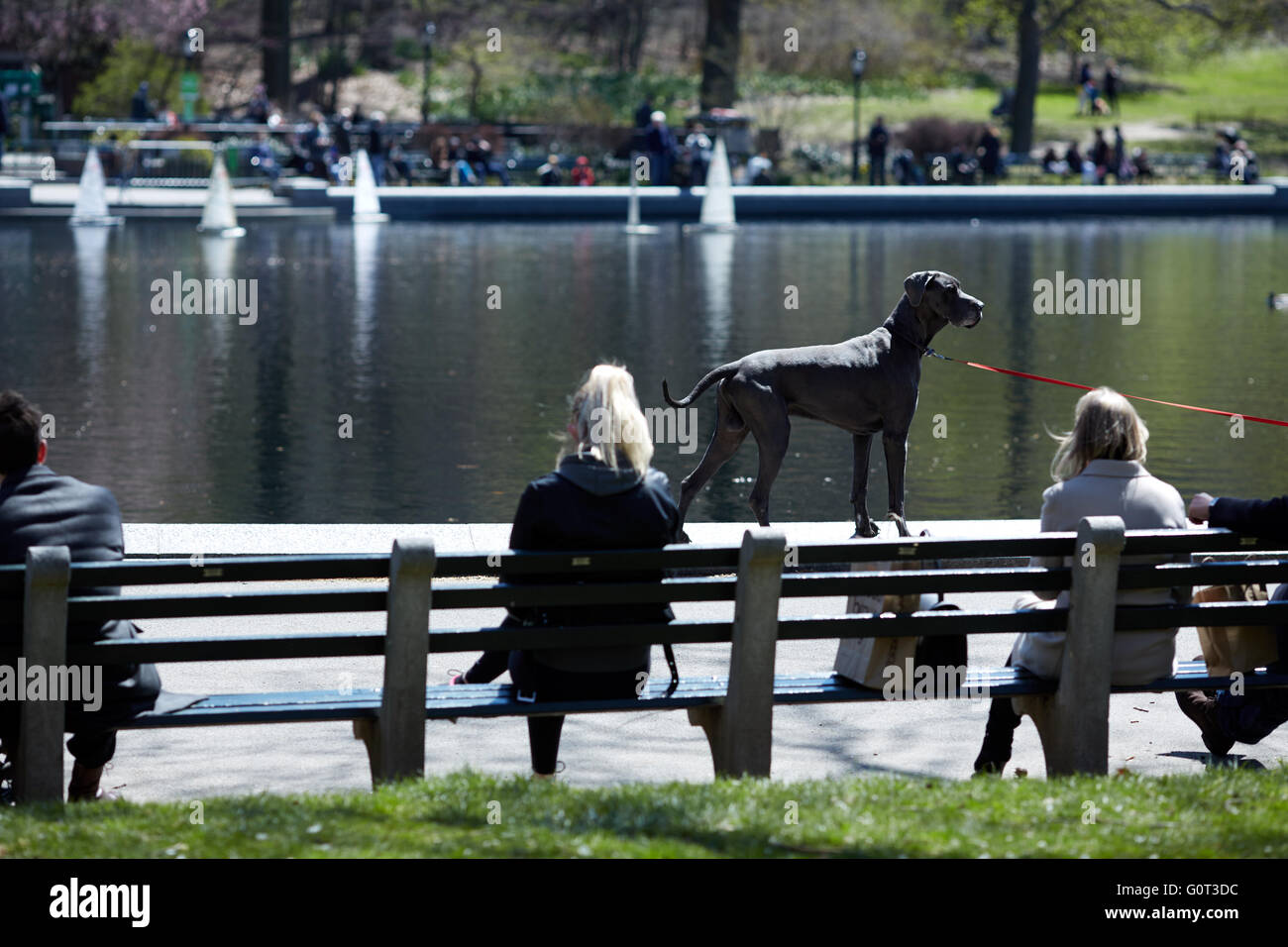 New York Central Park est un parc urbain au moyen-supérieur de Manhattan, à New York City parc urbain New York City Department of Banque D'Images