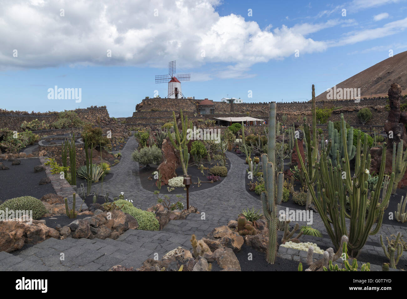Moulin sur le dessus d'un chemin en spirale au jardin de cactus de Lanzarote. Conçue par César Manrique. Banque D'Images