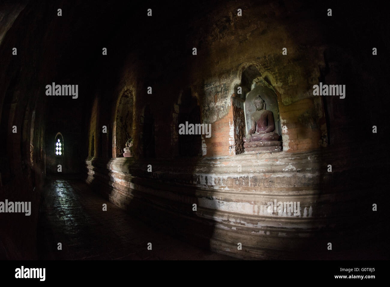 Temple Nagayon statues de Bouddha Bagan Myanmar // BAGAN, Myanmar — les statues de Bouddha occupent des niches murales dans la salle intérieure du temple Nagayon (également connu sous le nom de temple Naga Yon Hpaya), un temple de la fin du XIe siècle construit sous le règne du roi Kyanzittha vers 1090-1105 après JC. Le temple présente des reliefs en pierre représentant la vie de Bouddha dans des niches à l'intérieur de la salle, avec soixante niches dans les murs ambulatoires contenant des sculptures représentant les vingt-huit Bouddhas du passé. Le temple Nagayon est situé dans le quartier de Myinkaba à Bagan et représente un prototype architectural important qui préfigurait Banque D'Images