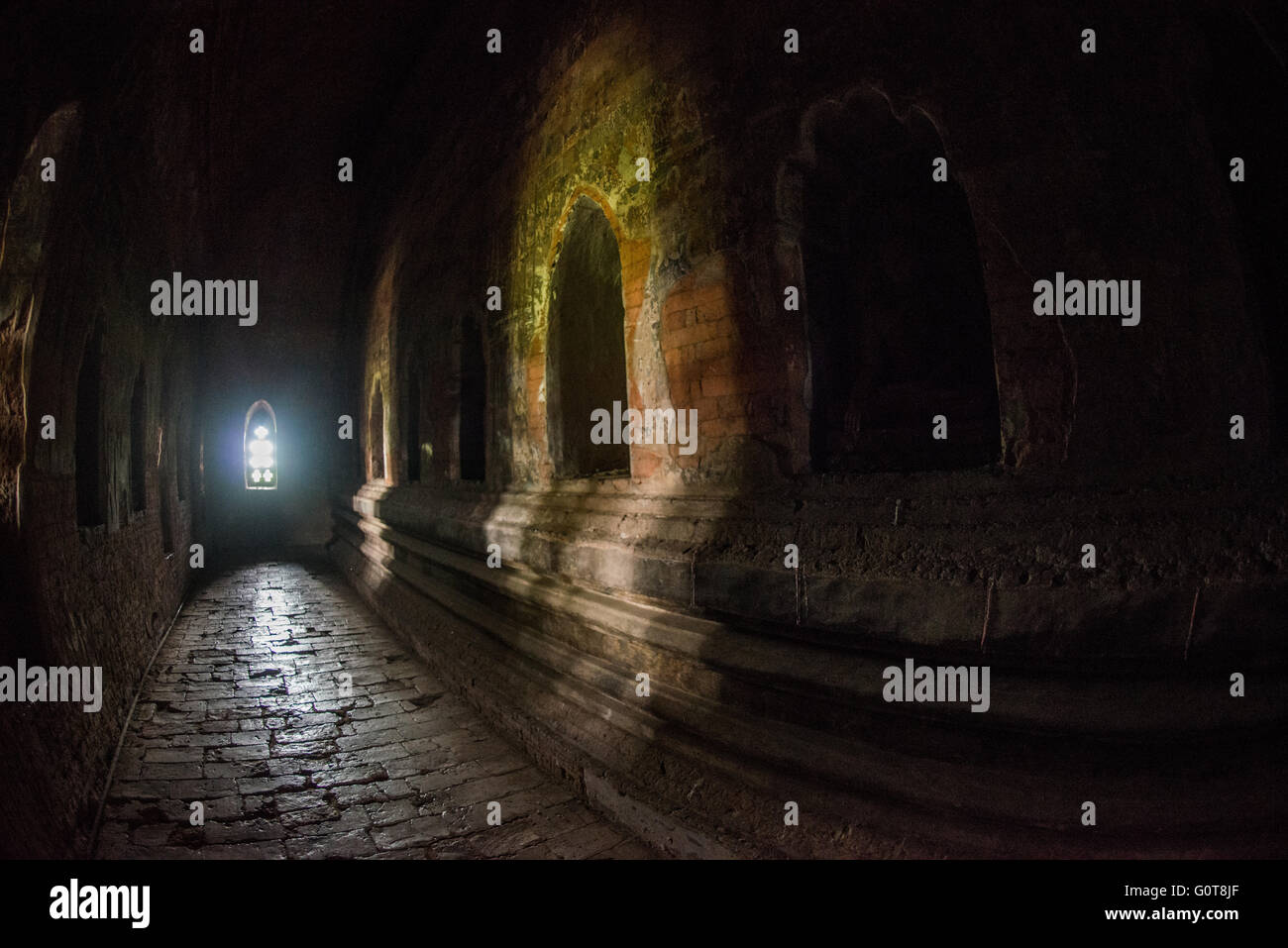 Temple Nagayon intérieur Bagan Myanmar // BAGAN, Myanmar — les statues de Bouddha occupent des niches murales dans la salle intérieure du temple Nagayon (également connu sous le nom de temple Naga Yon Hpaya), un temple de la fin du XIe siècle construit sous le règne du roi Kyanzittha vers 1090-1105 après JC. Le temple présente des reliefs en pierre représentant la vie de Bouddha dans des niches à l'intérieur de la salle, avec soixante niches dans les murs ambulatoires contenant des sculptures représentant les vingt-huit Bouddhas du passé. Le temple Nagayon est situé dans le quartier de Myinkaba à Bagan et représente un prototype architectural important qui a préfiguré Kyanz Banque D'Images