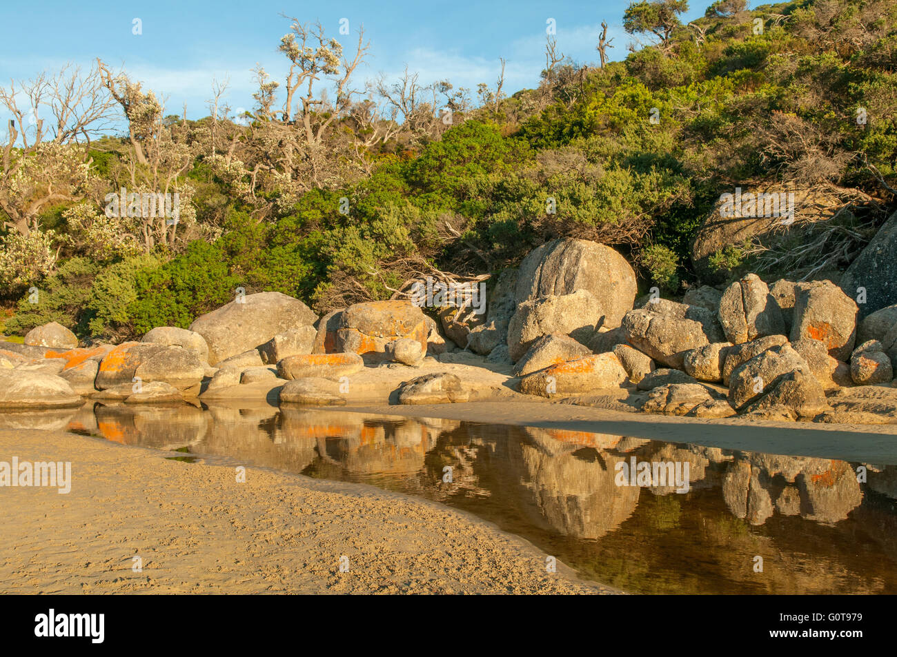 Réflexions à marée en rivière, Wilsons Promontory NP, Victoria, Australie Banque D'Images