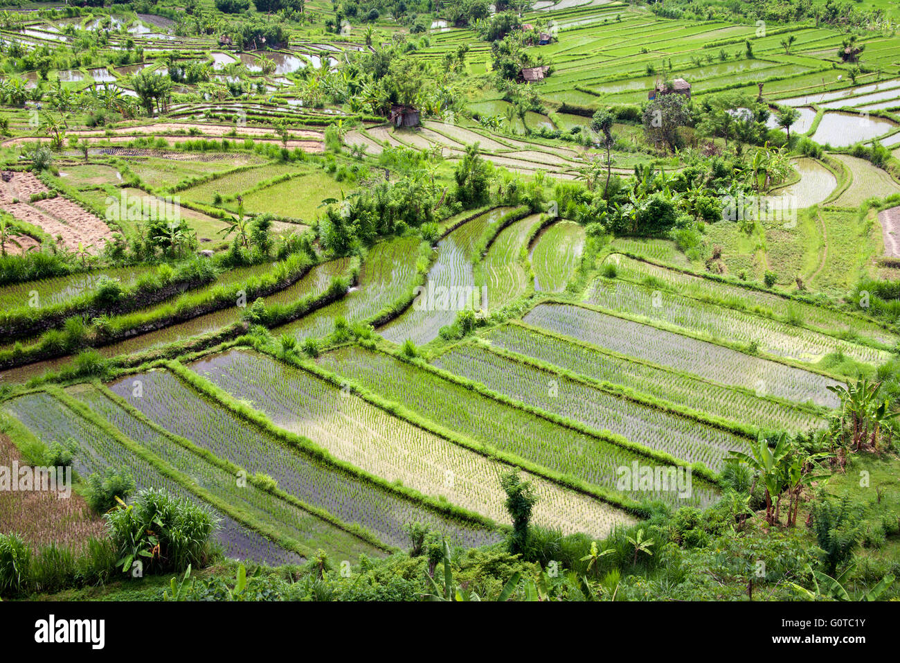 Paysage rural avec l'Indonésie Bali rizières Abang Banque D'Images