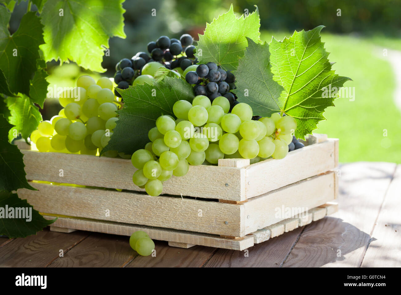 La Sur Grappe Bois Vigne À Boîte Table Et De Raisin Blanc En v0wPymN8nO