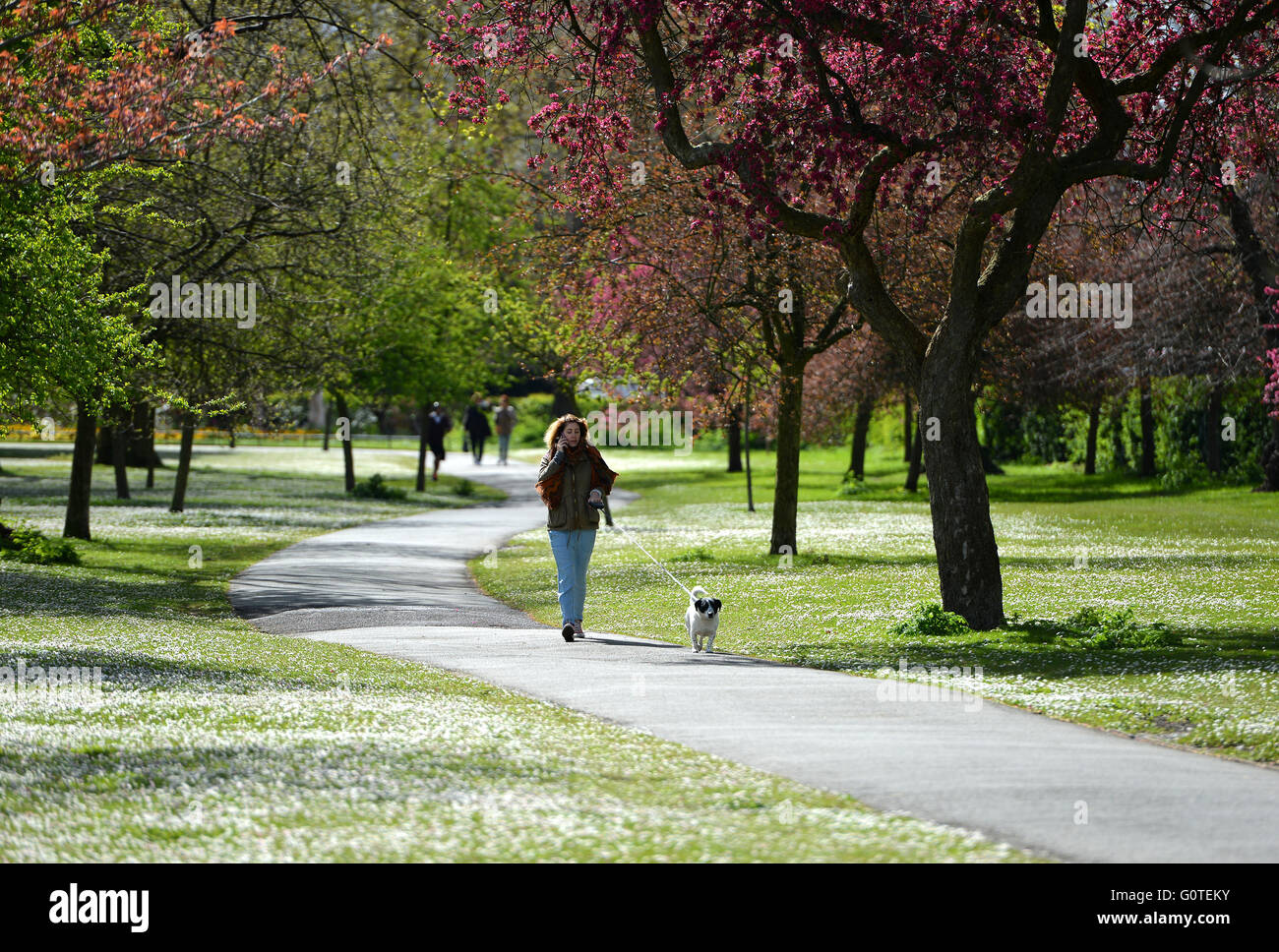 Le printemps à Regents Park , London Banque D'Images