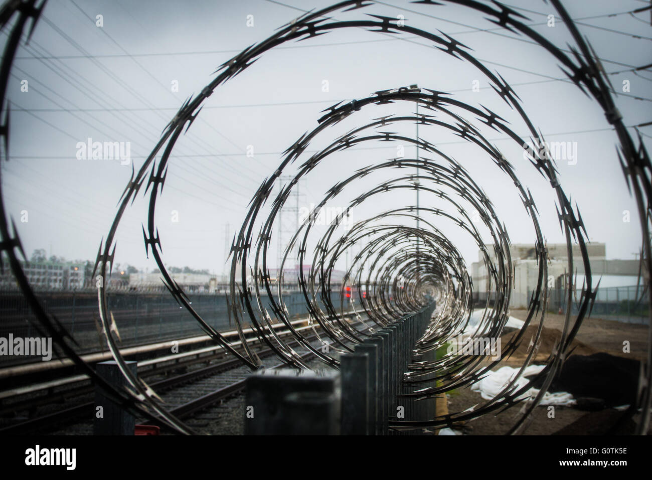Sur le fil du rasoir en cercles concentriques sur fence Banque D'Images