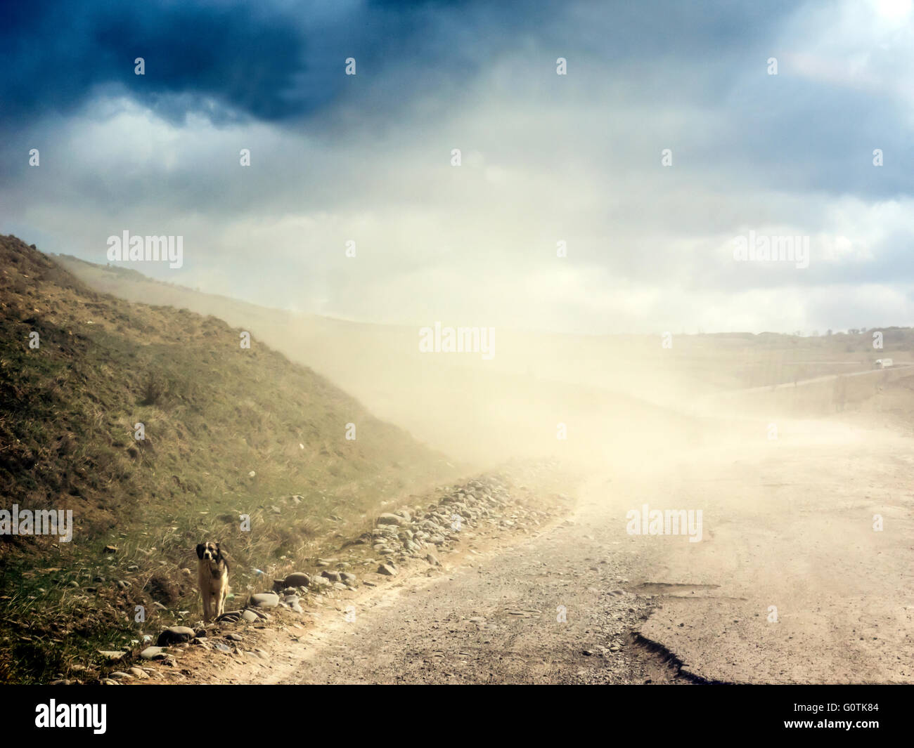 Chien à côté d'une route dans les nuages de poussières de camion Banque D'Images