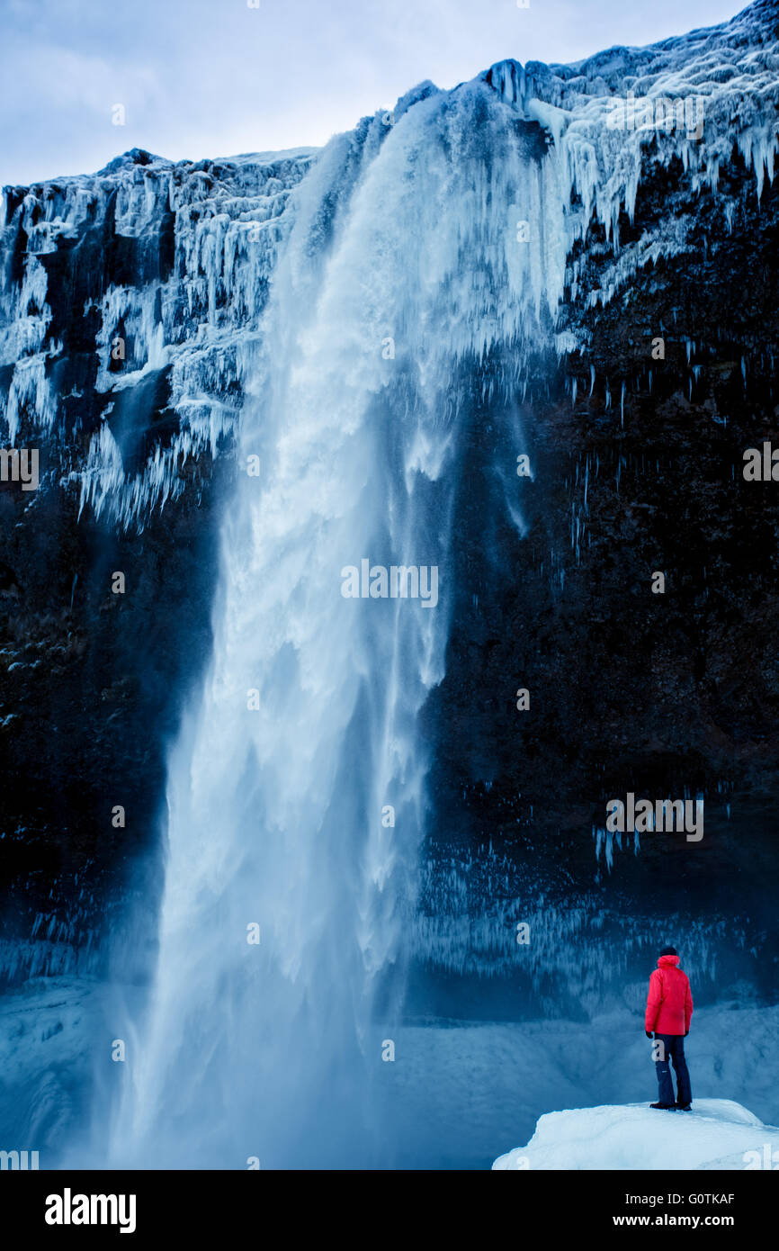 Homme debout en face de la cascade de Seljalandsfoss, Islande Banque D'Images