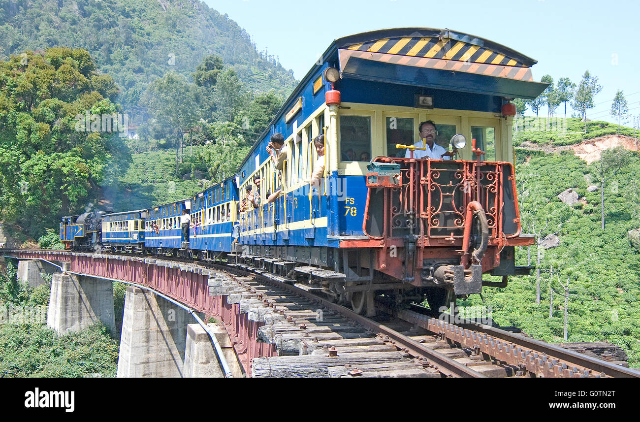 Nilgiri Mountain Railway, se déplaçant dans une plantation de thé, Nilgiris, Tamil Nadu, Inde Banque D'Images