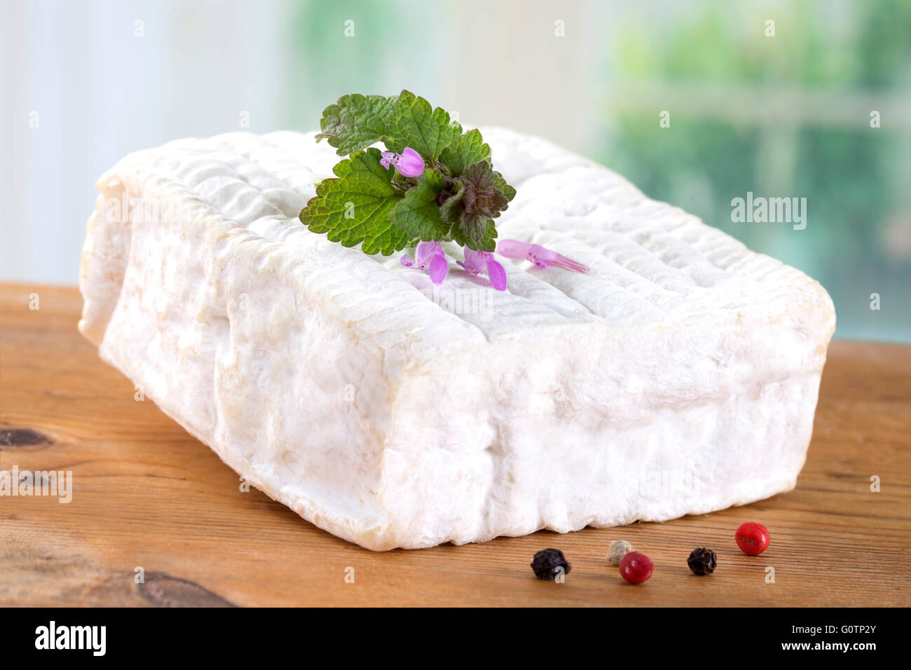Un bloc de Pont-l'eveque fromage Normandie Française Banque D'Images