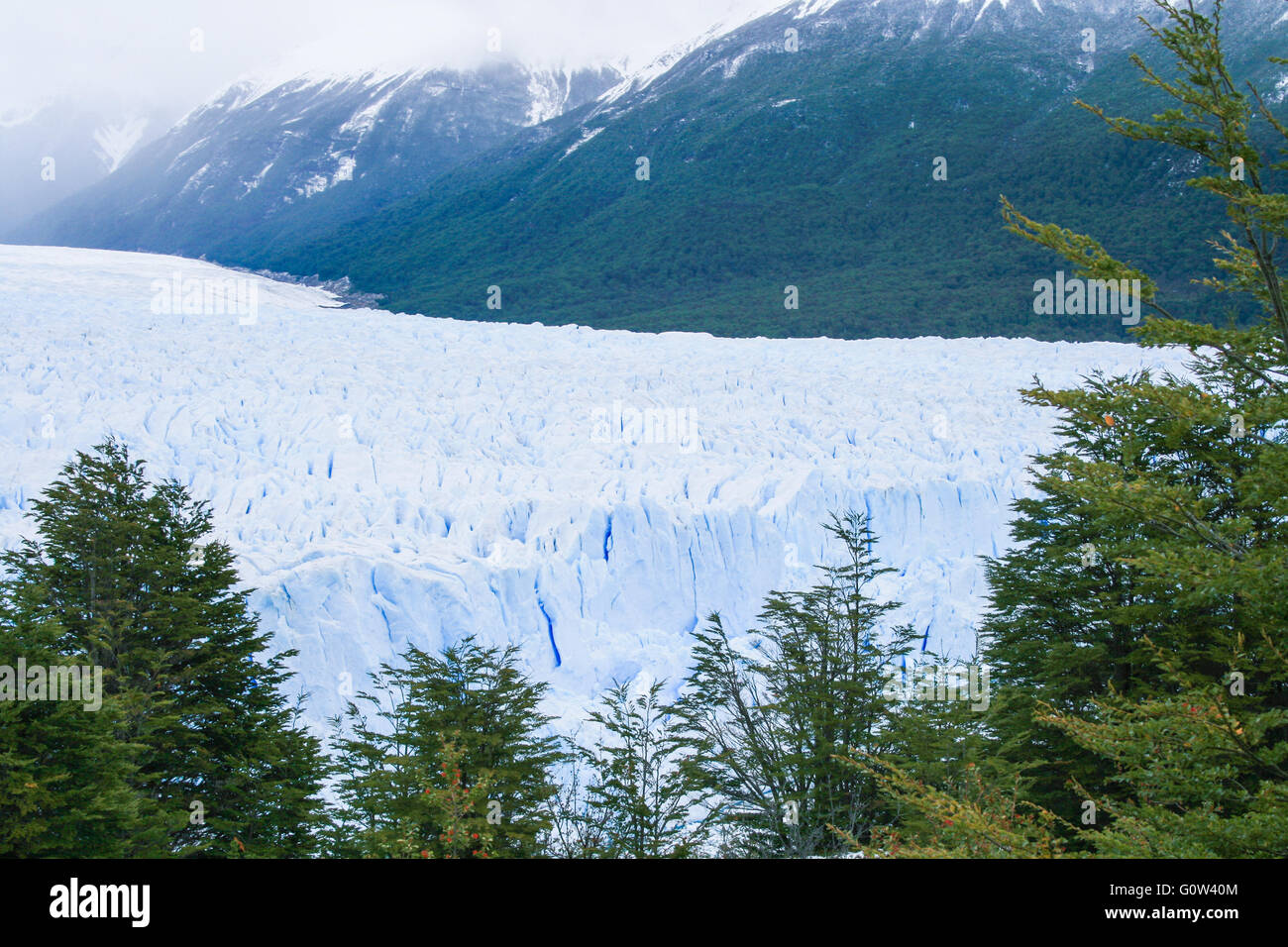 Le glacier Perito Moreno, le Parc National Los Glaciares, Patagonie Banque D'Images