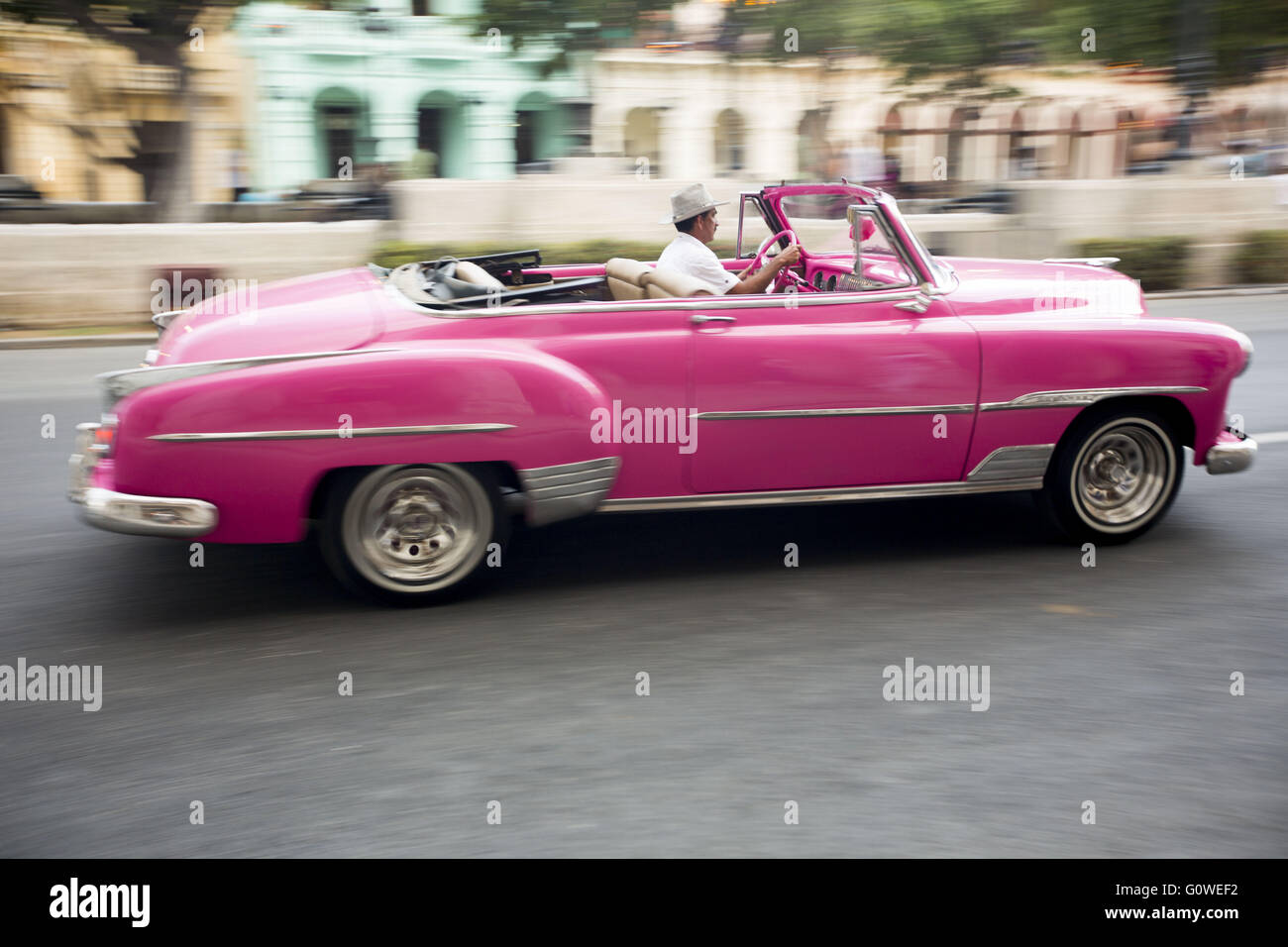 La Havane, Cuba, Cuba. 3 mai, 2016. L'accélération du conducteur à l'écart dans le convertible classique après la suppression des invités le long du Paseo del Prado promenade où Chanel collection Croisière '''' 2016/2017 défilé a eu lieu à La Havane, Cuba le 3 mai 2016. Chanel a embauché plus de 150 ''almendrones'' (le Old US cars) aménagée comme un emblème de l'île socialiste à transporter les clients autour de la ville. Les voitures anciennes de Cuba est apparue comme une impression sur plusieurs morceaux. Maison de couture française Chanel a mis en scène son spectacle dans la capitale cubaine La Havane - le premier défilé de l'Internationale communiste depuis 1959 re Banque D'Images