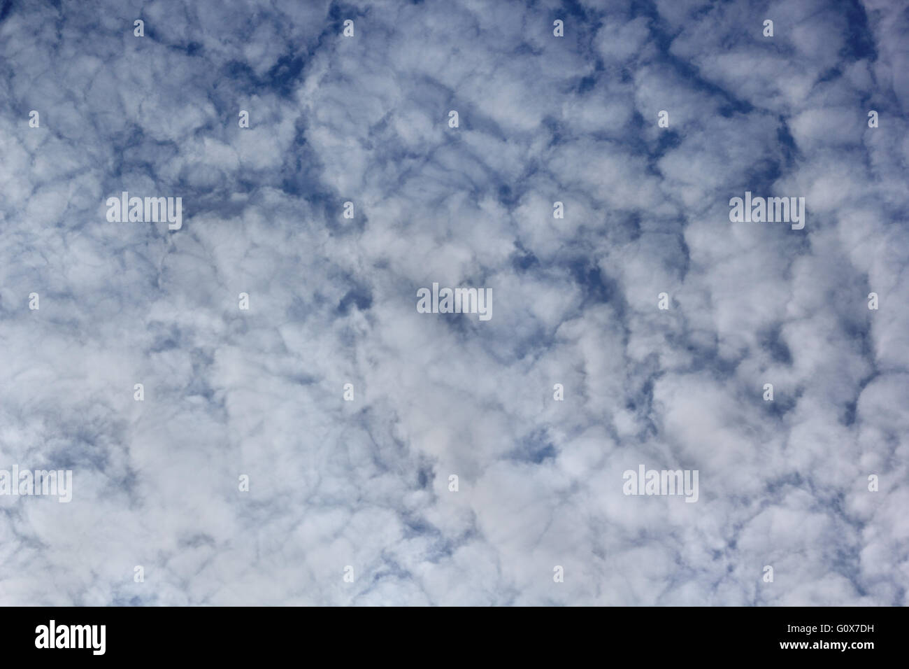 L'altocumulus floccus Cloudscape formé par les nuages Banque D'Images