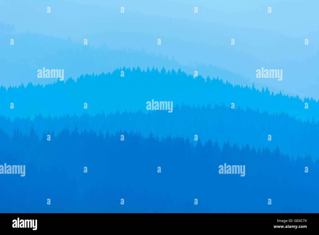 Paysage de montagne avec Horizon Lines en hiver, Altenau, Harz, Basse-Saxe, Allemagne Banque D'Images