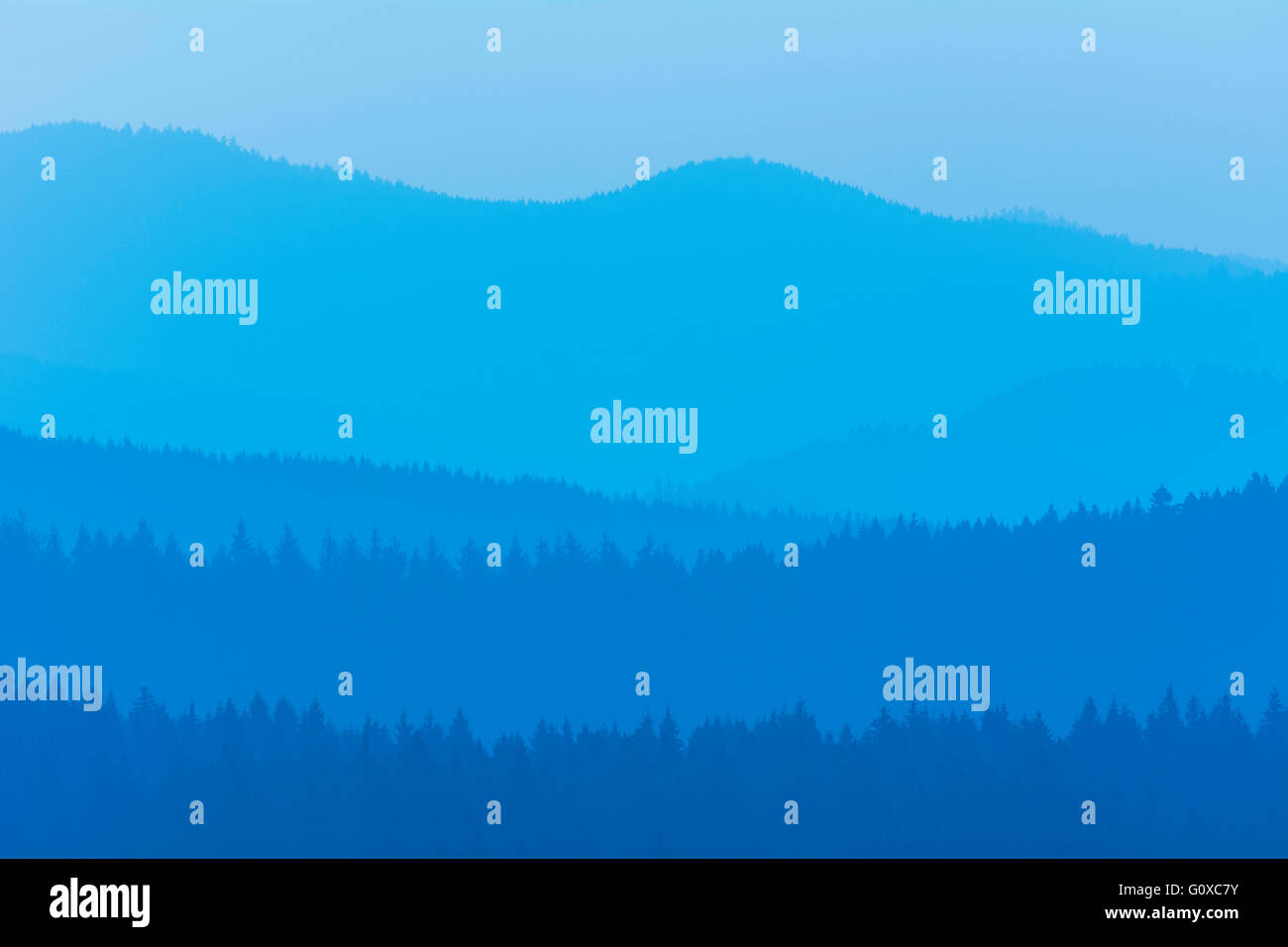 Paysage de montagne avec Horizon Lines en hiver, Altenau, Harz, Basse-Saxe, Allemagne Banque D'Images