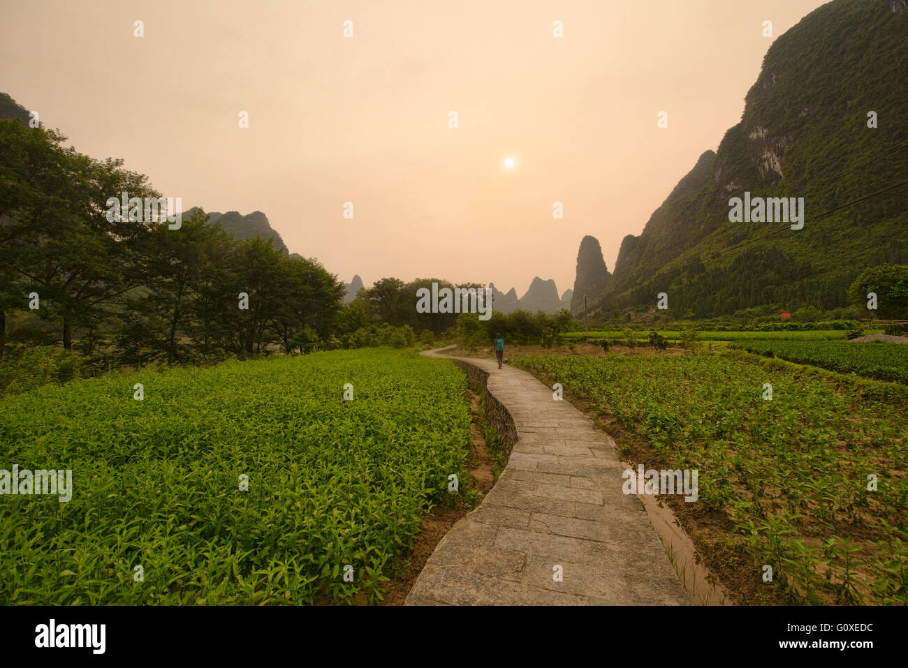 De fermes le long de la célèbre rivière Li randonnée pédestre près de Xingping, région autonome du Guangxi, Chine Banque D'Images