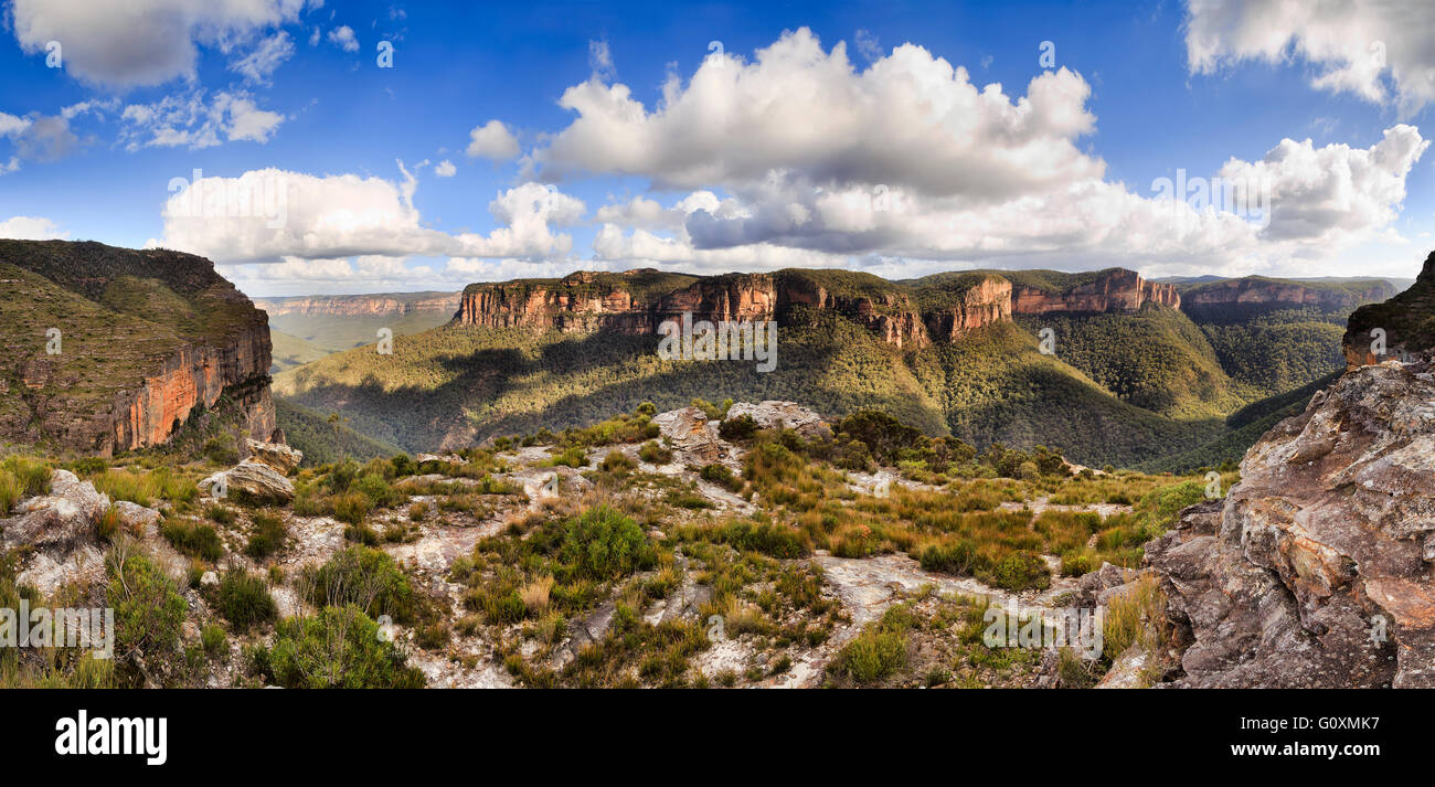 Panorama de bout en bout de la roche du Grand Canyon aux parois des murs de vigie dans parc national de Blue Mountains. Banque D'Images