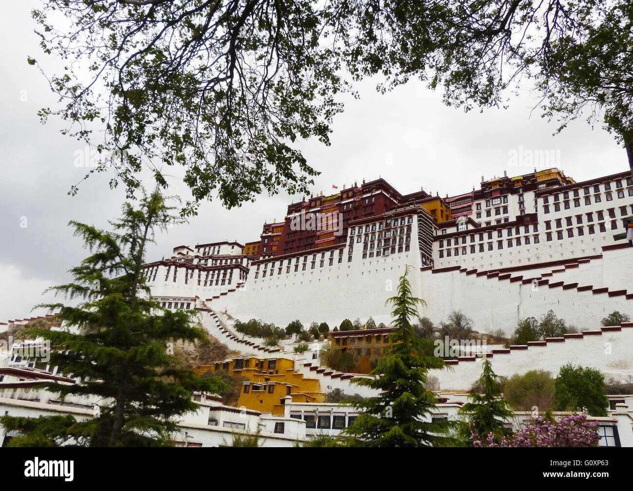 Palais du Potala, Lhassa, Tibet Banque D'Images