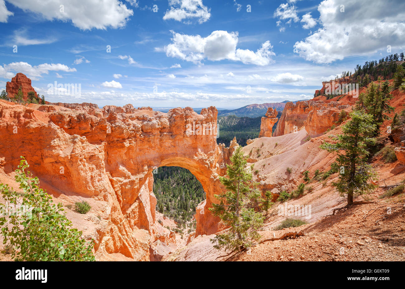 Belle arche naturelle dans le Parc National de Bryce Canyon, Utah, USA. Banque D'Images