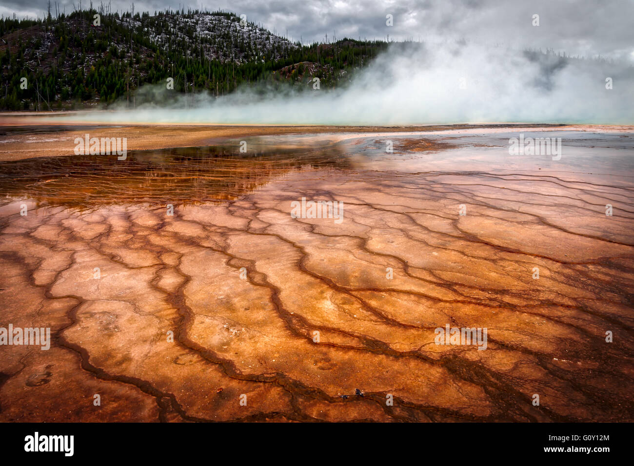 Vue sur le Grand Prismatic Spring in yellowstone Banque D'Images