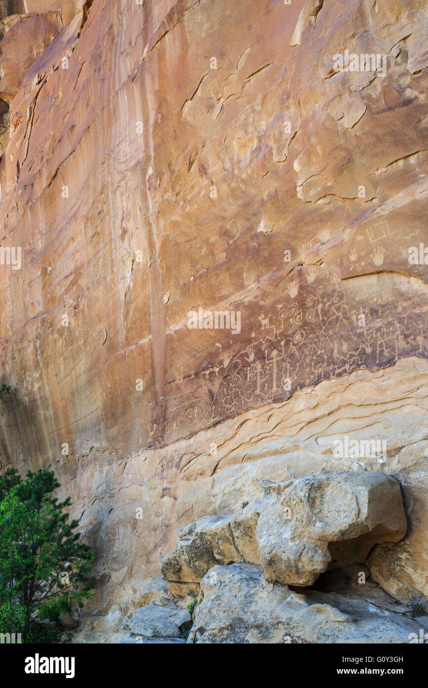 Bord de pétroglyphes le long de Petroglyph point trail à Mesa Verde National Park, Colorado Banque D'Images