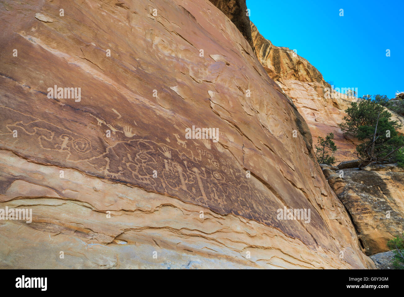 Bord de pétroglyphes le long de Petroglyph point trail à Mesa Verde National Park, Colorado Banque D'Images