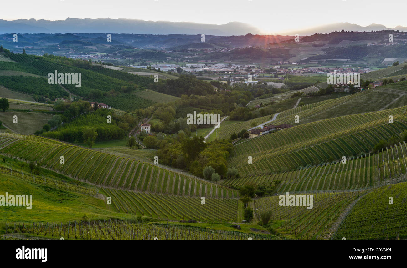 Vue sur la zone de production de vin Barbaresco dans la région Piémont en Italie Banque D'Images