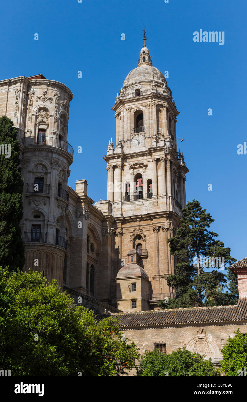 Malaga, la province de Malaga, Costa del Sol, Andalousie, Espagne du sud. La cathédrale de la Renaissance. Banque D'Images