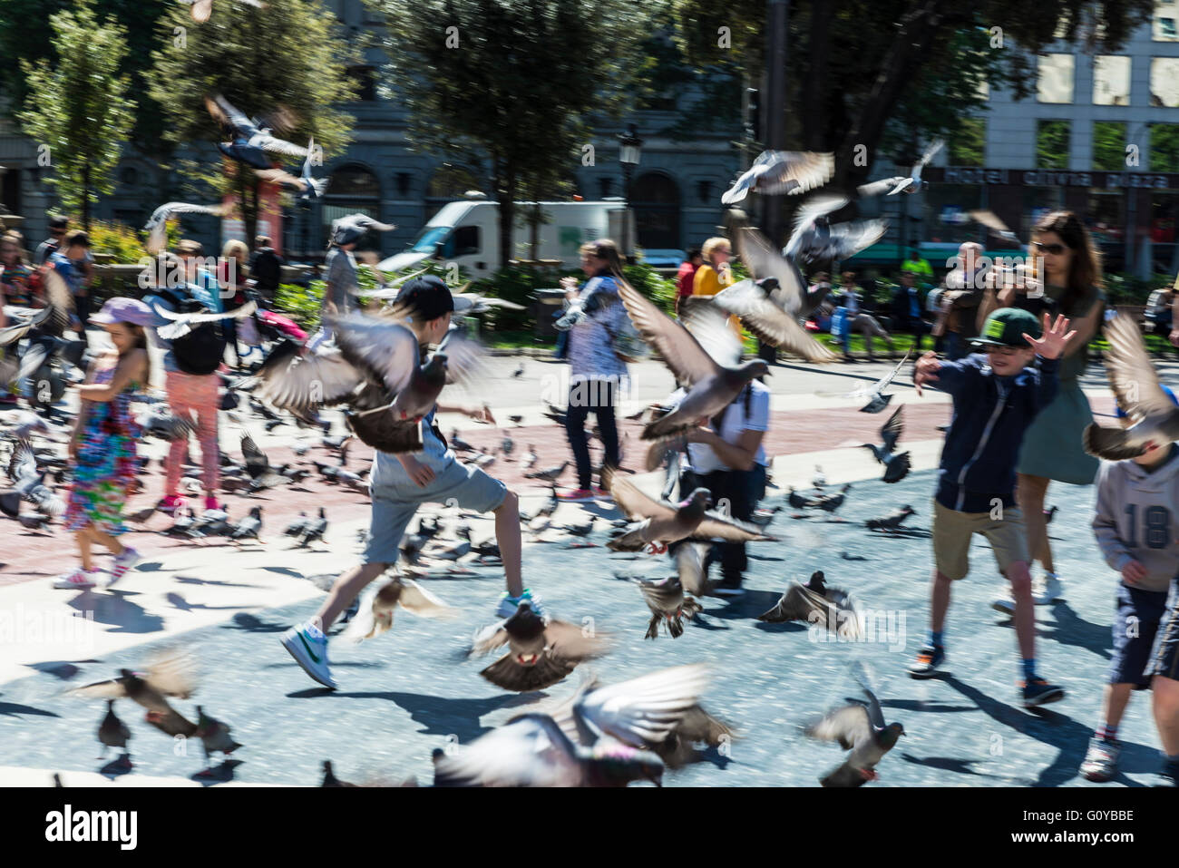 Les écoliers jouent pour effrayer les pigeons à Barcelone, Catalogne, Espagne Banque D'Images