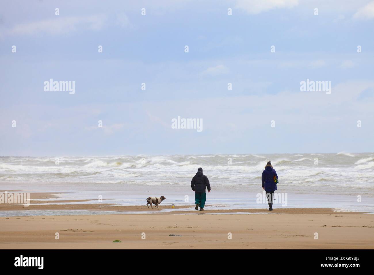 Saint les abeilles. Couple walking Dog sur la plage. Cumbria, Angleterre, Royaume-Uni, Europe. Banque D'Images