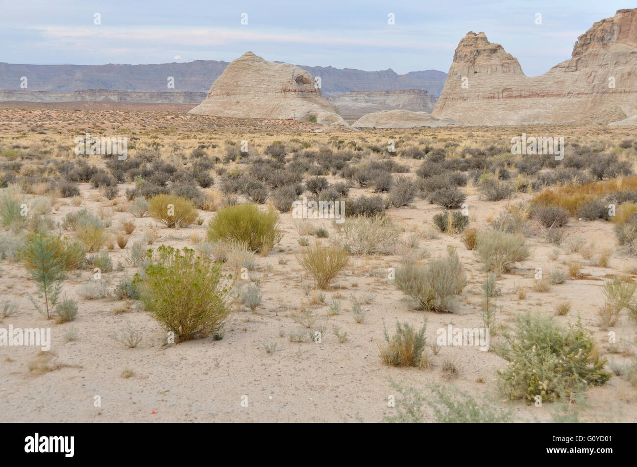 Cette image est d'un paysage de désert déserte avec une grande formation rocheuse. Banque D'Images