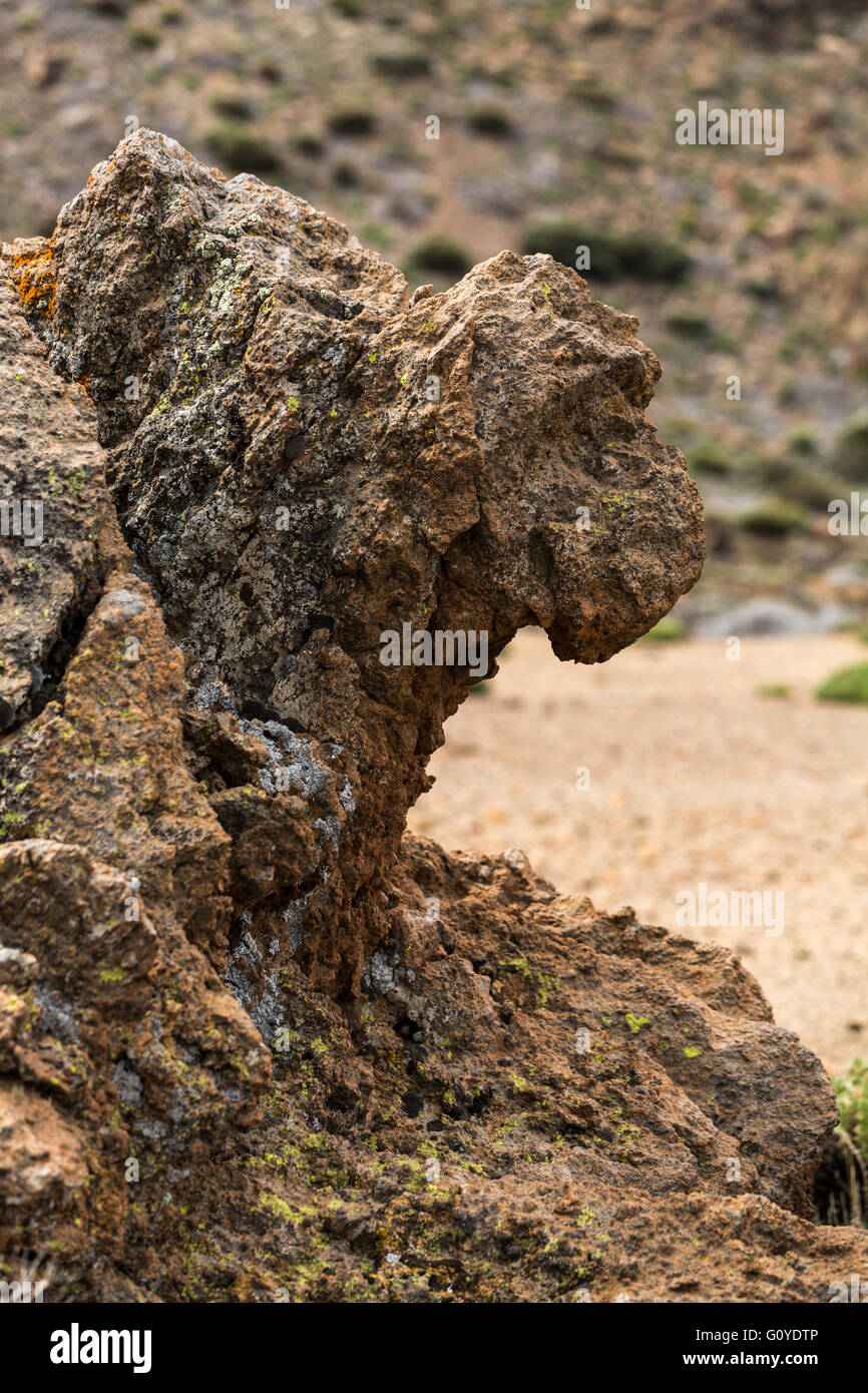 Rock formation qui ressemble à une tête d'animaux le long de la siete canadas sentier dans le Las Canadas del Teide national park, Tenerif Banque D'Images
