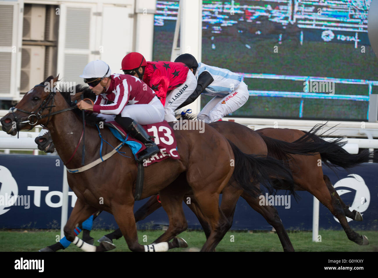 Le Qatar Racing & Equestrian Club, Doha. Qatar 5 mai 2016. L'avant-coureurs franchir la ligne d'arrivée dans la course 2, le premier pur-sang plaque. Crédit : Tom Morgan/Alamy Live News Banque D'Images