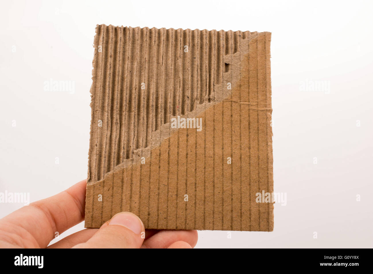 Morceau de papier déchiré dans la main sur un fond blanc Banque D'Images