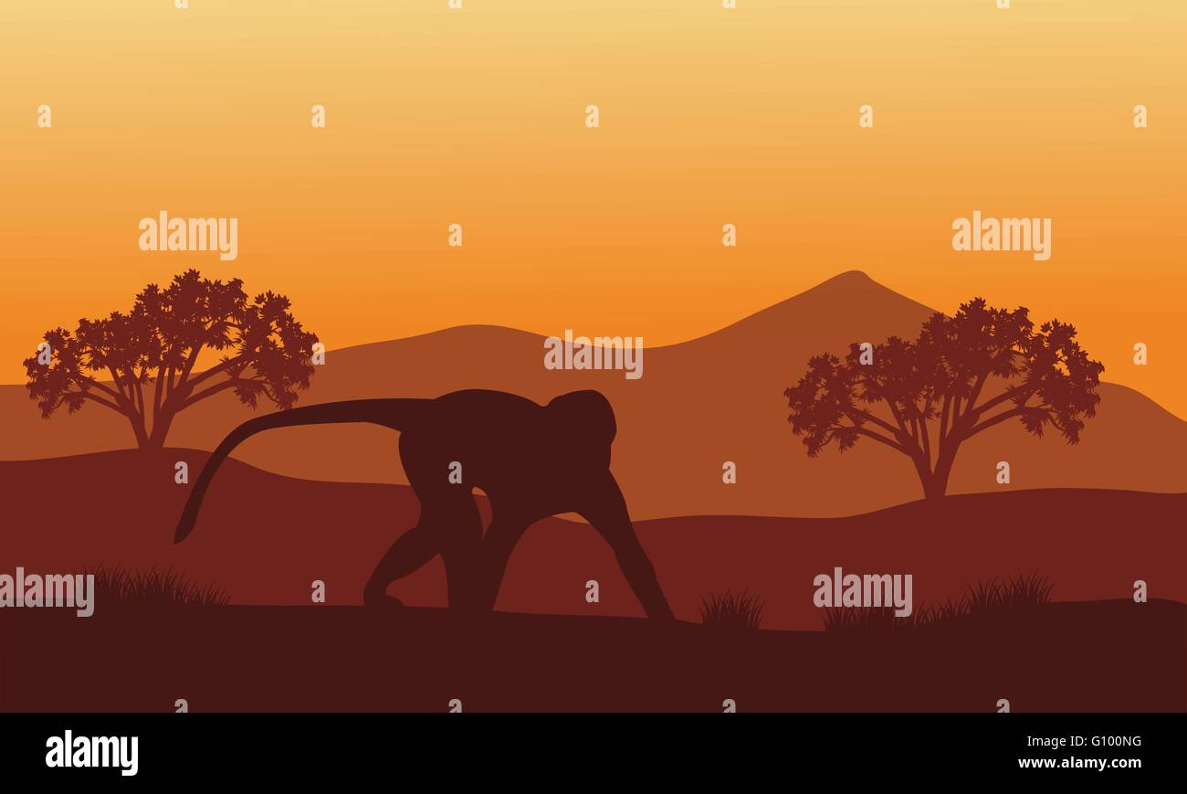 Silhouette de singe dans Hills Illustration de Vecteur